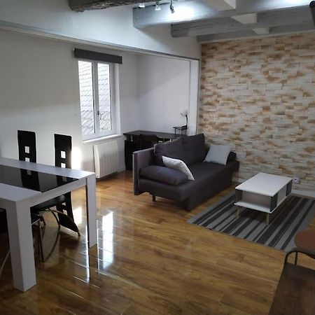 Charmant Appartement Cosy Sélestat Zewnętrze zdjęcie