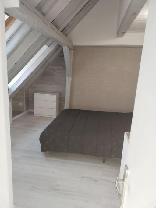Charmant Appartement Cosy Sélestat Zewnętrze zdjęcie