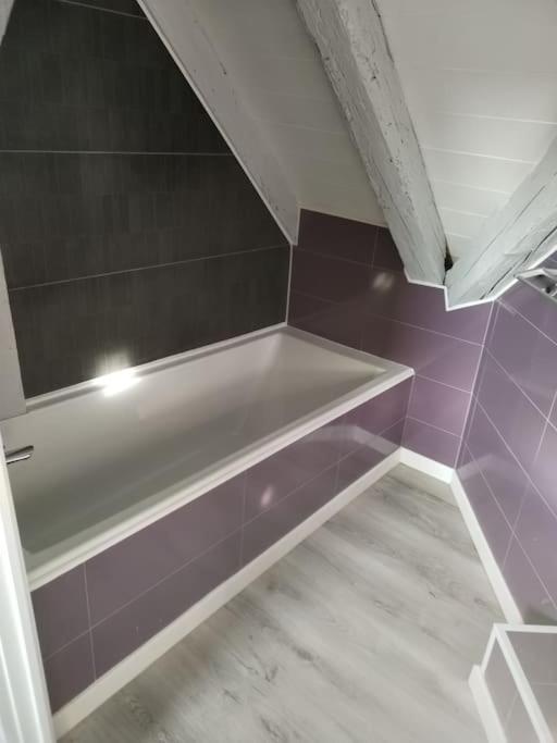 Charmant Appartement Cosy Sélestat Zewnętrze zdjęcie